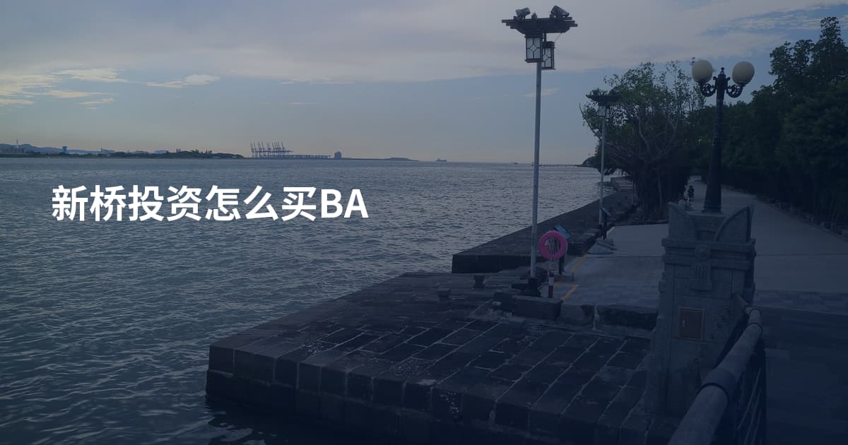 新桥投资怎么买BA