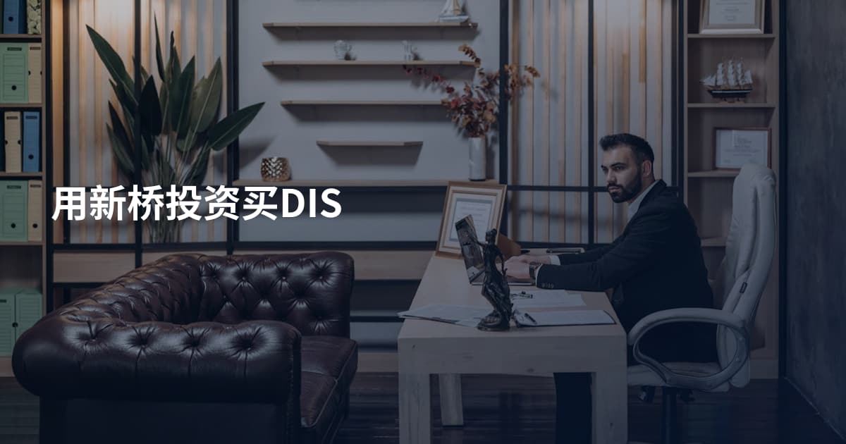 用新桥投资买DIS