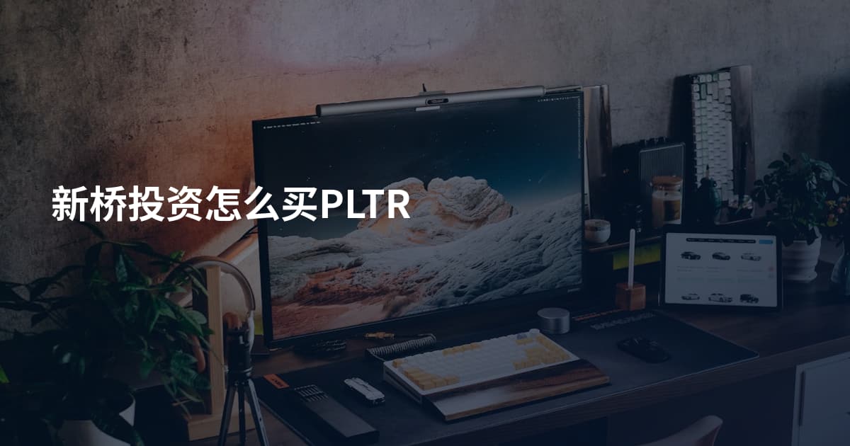新桥投资怎么买PLTR