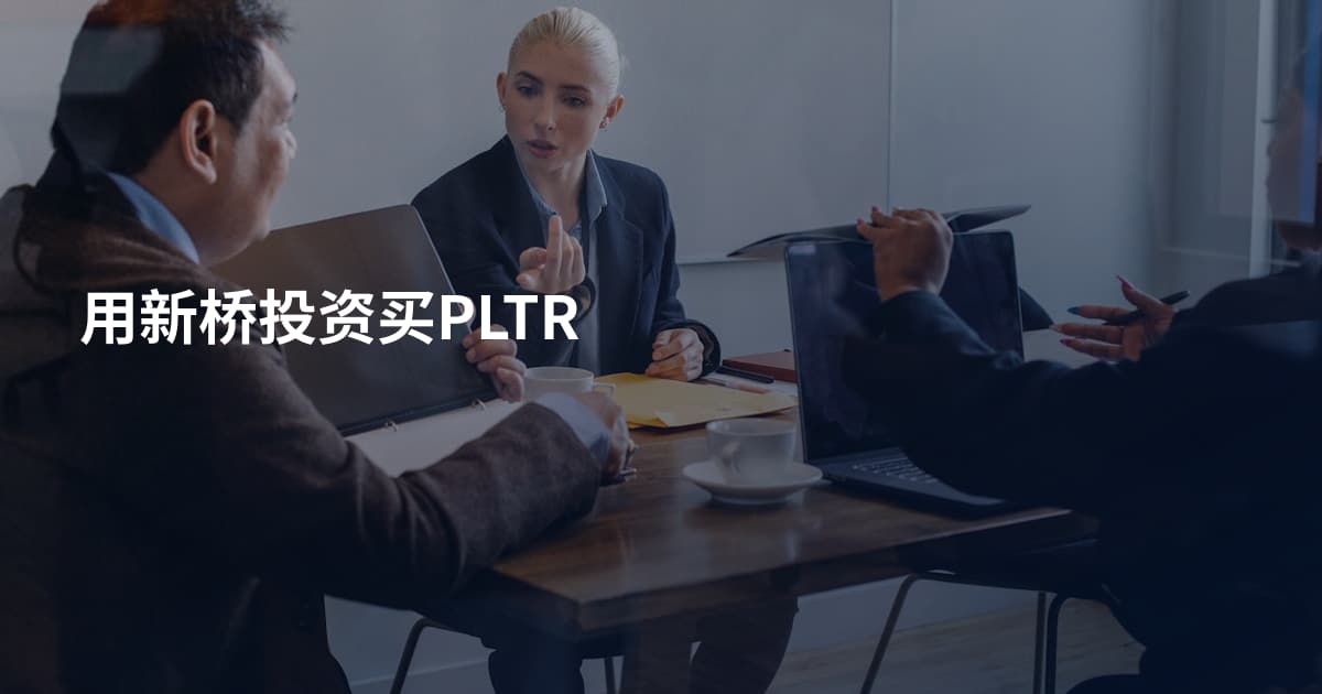 用新桥投资买PLTR
