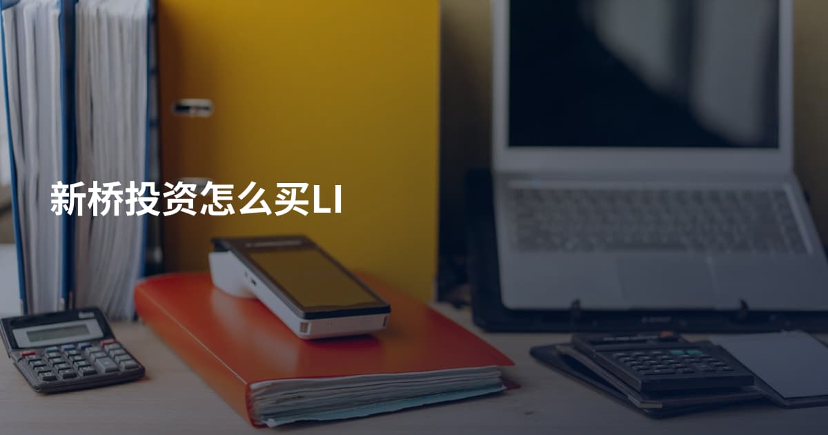 新桥投资怎么买LI