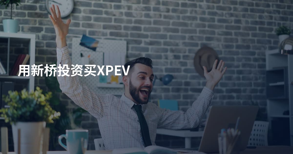 用新桥投资买XPEV