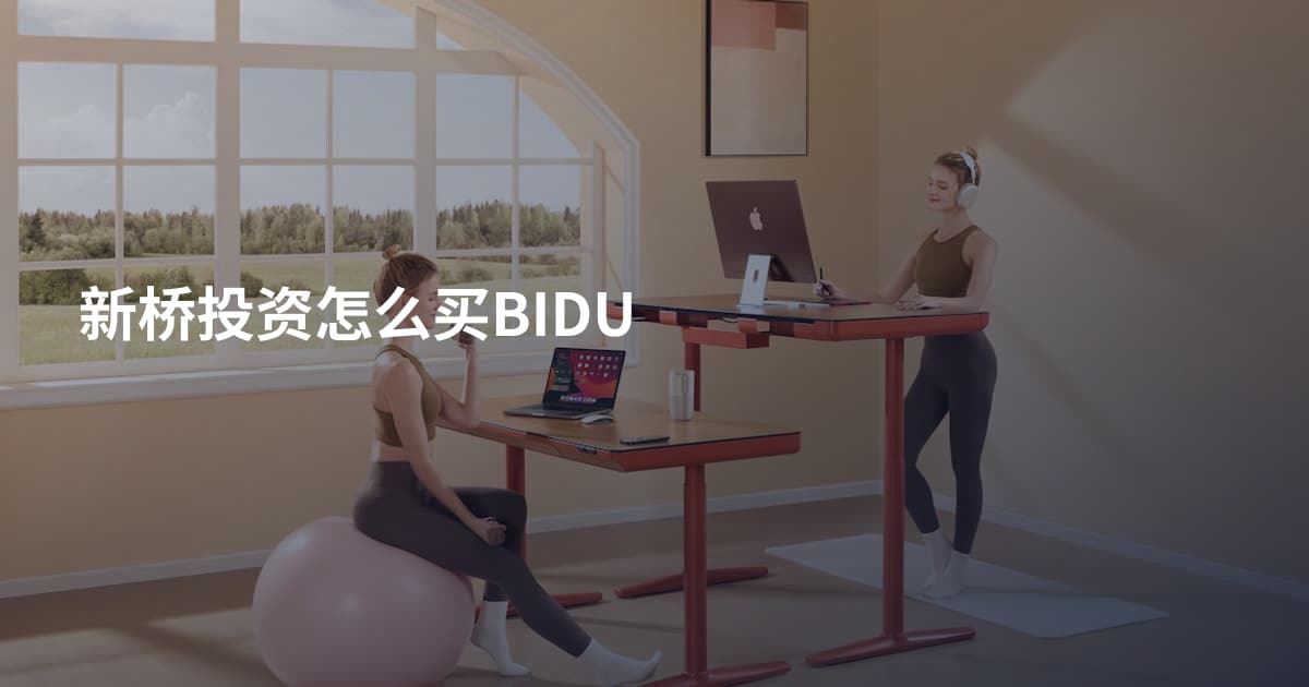 新桥投资怎么买BIDU