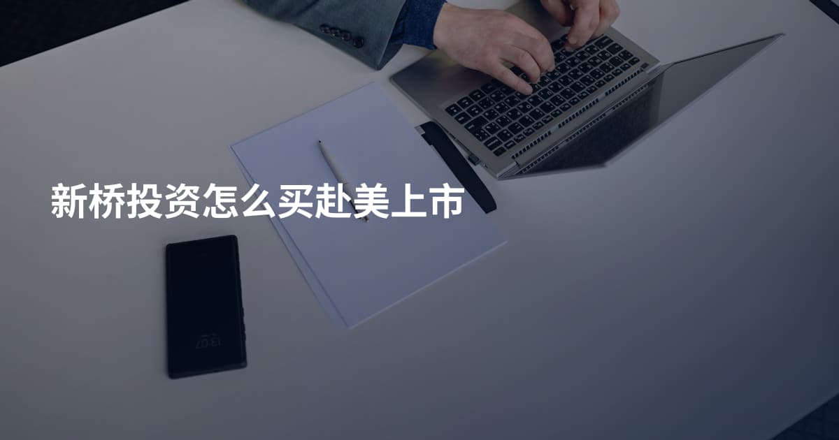 新桥投资怎么买赴美上市