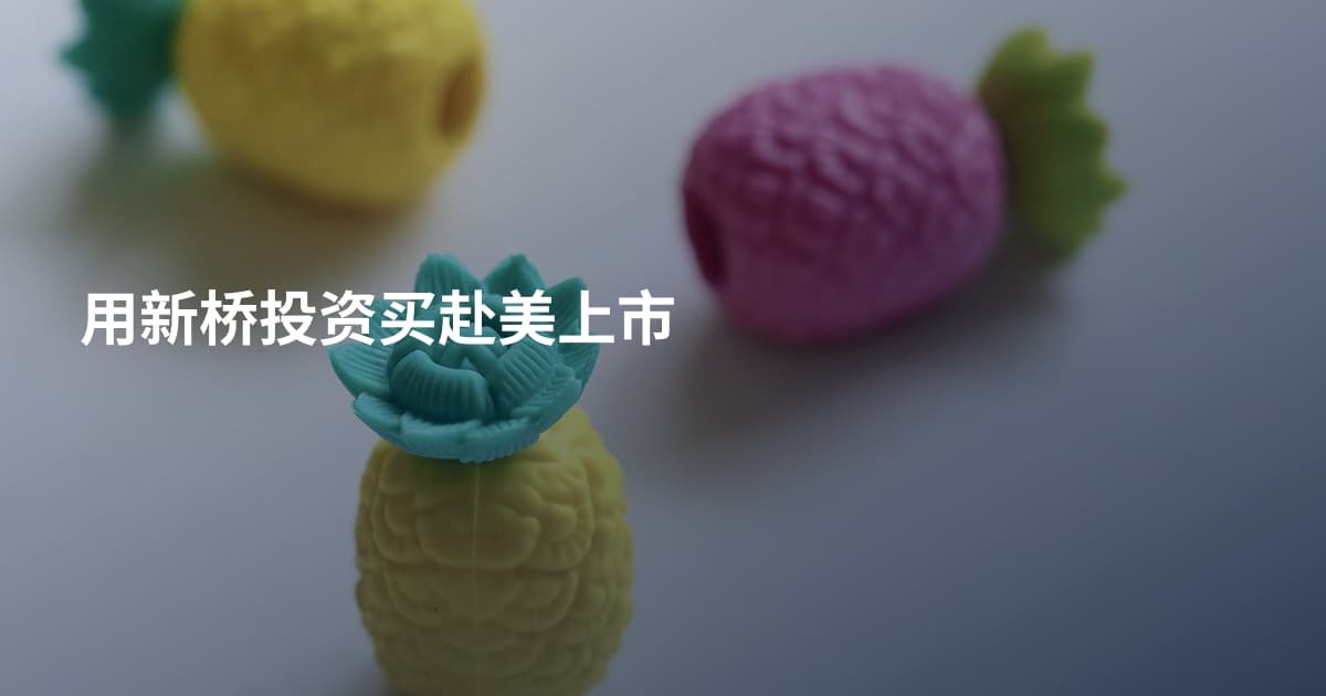 用新桥投资买赴美上市