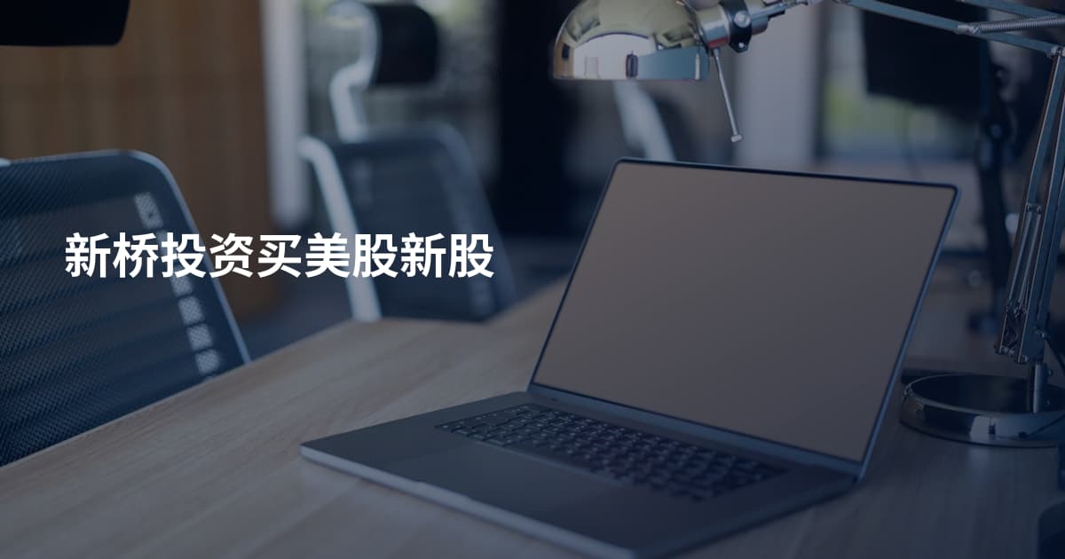 新桥投资买美股新股