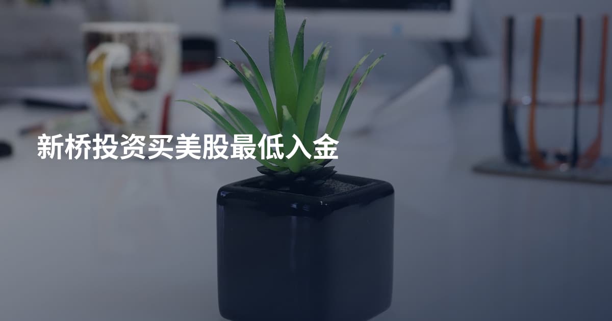 新桥投资买美股最低入金