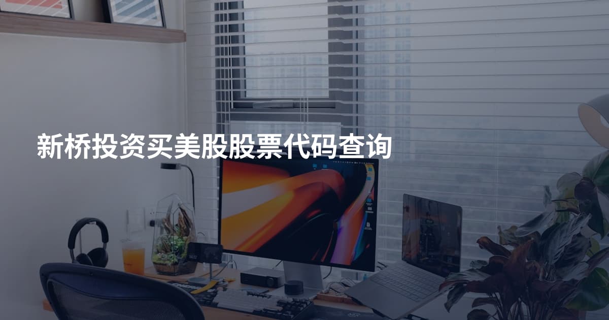 新桥投资买美股股票代码查询