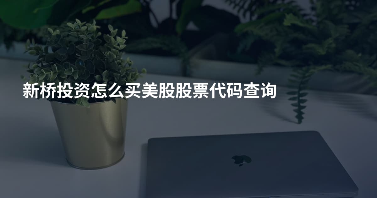 新桥投资怎么买美股股票代码查询