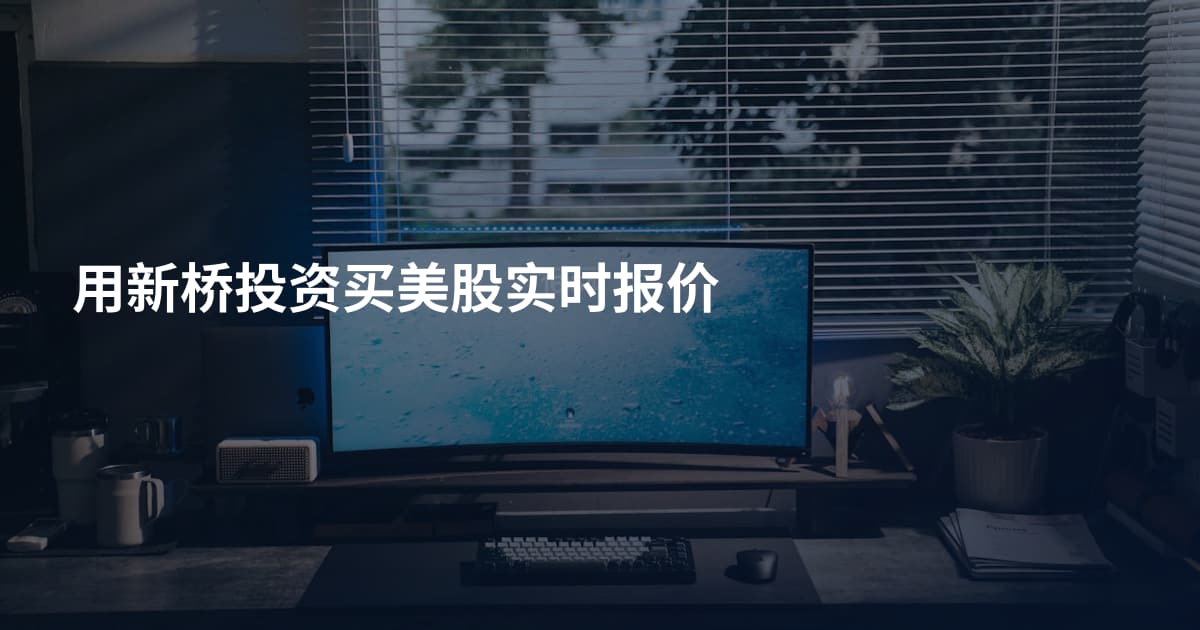 用新桥投资买美股实时报价
