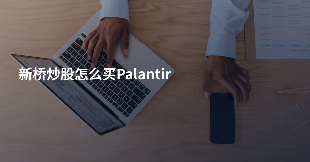 新桥炒股怎么买Palantir