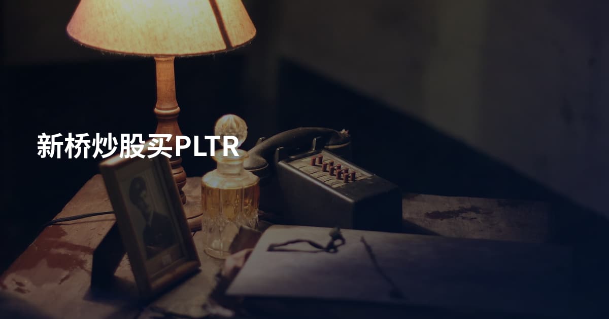 新桥炒股买PLTR