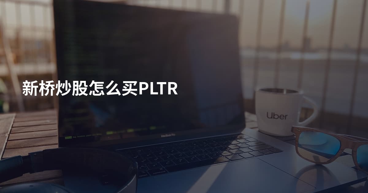 新桥炒股怎么买PLTR