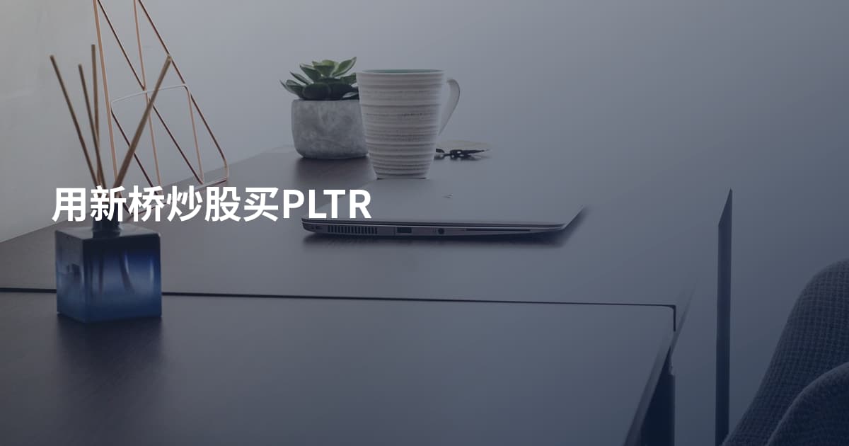 用新桥炒股买PLTR