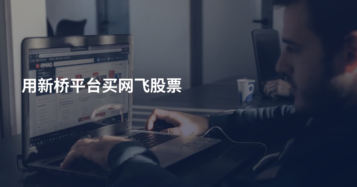 用新桥平台买网飞股票