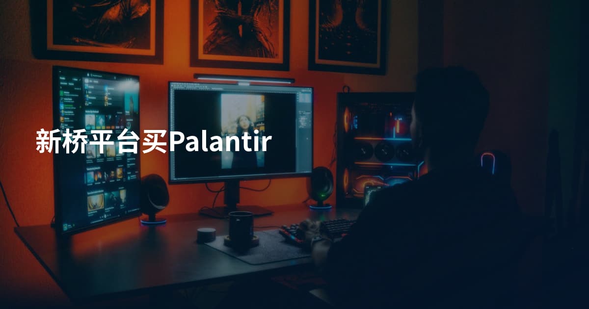 新桥平台买Palantir