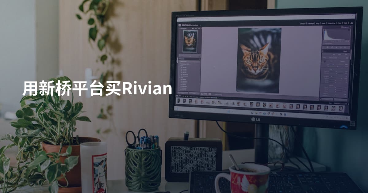 用新桥平台买Rivian