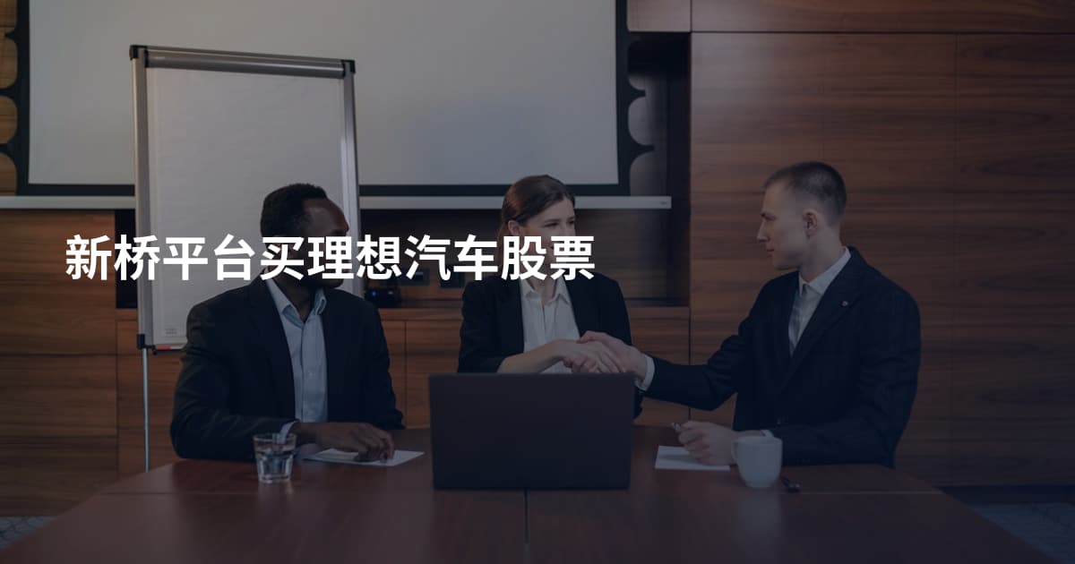 新桥平台买理想汽车股票