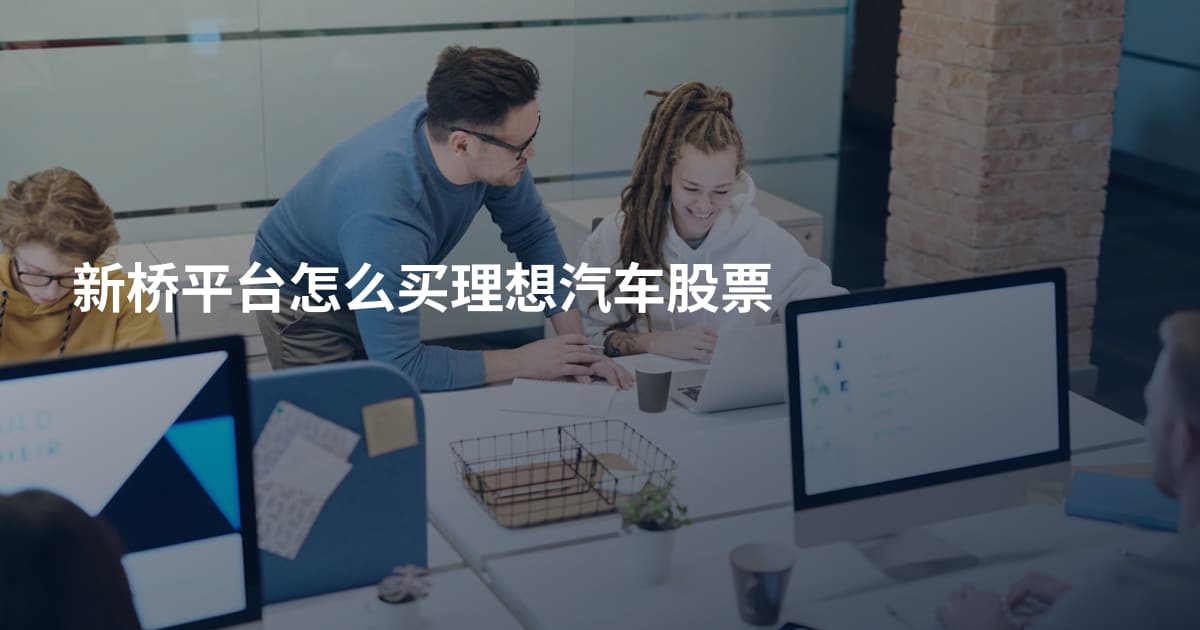 新桥平台怎么买理想汽车股票