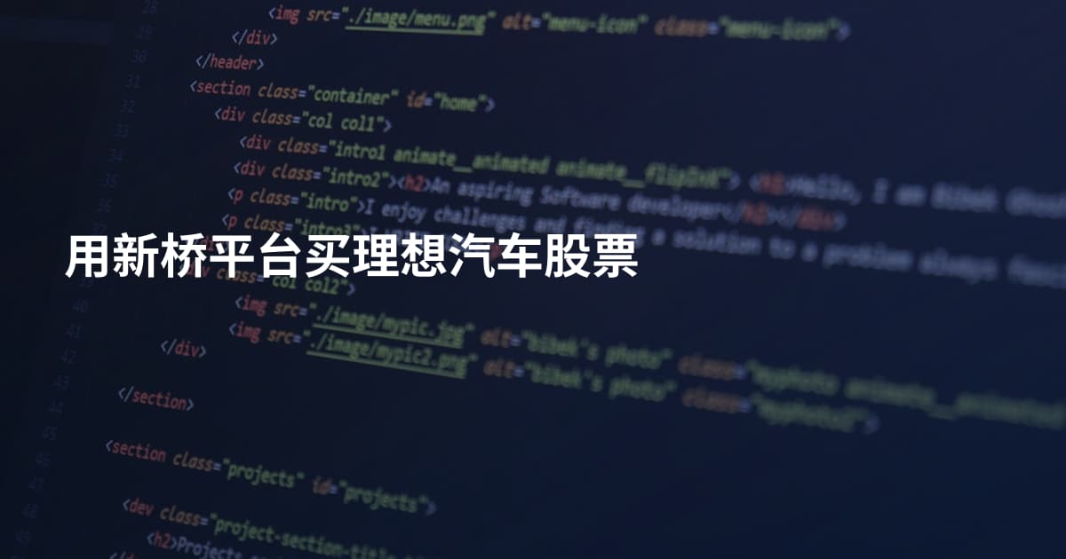 用新桥平台买理想汽车股票