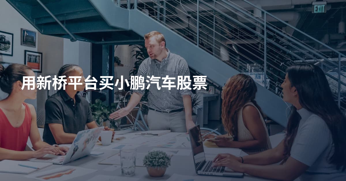 用新桥平台买小鹏汽车股票