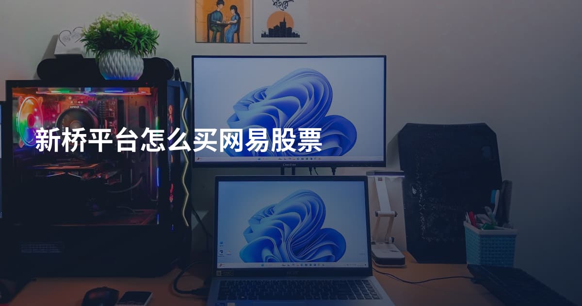 新桥平台怎么买网易股票