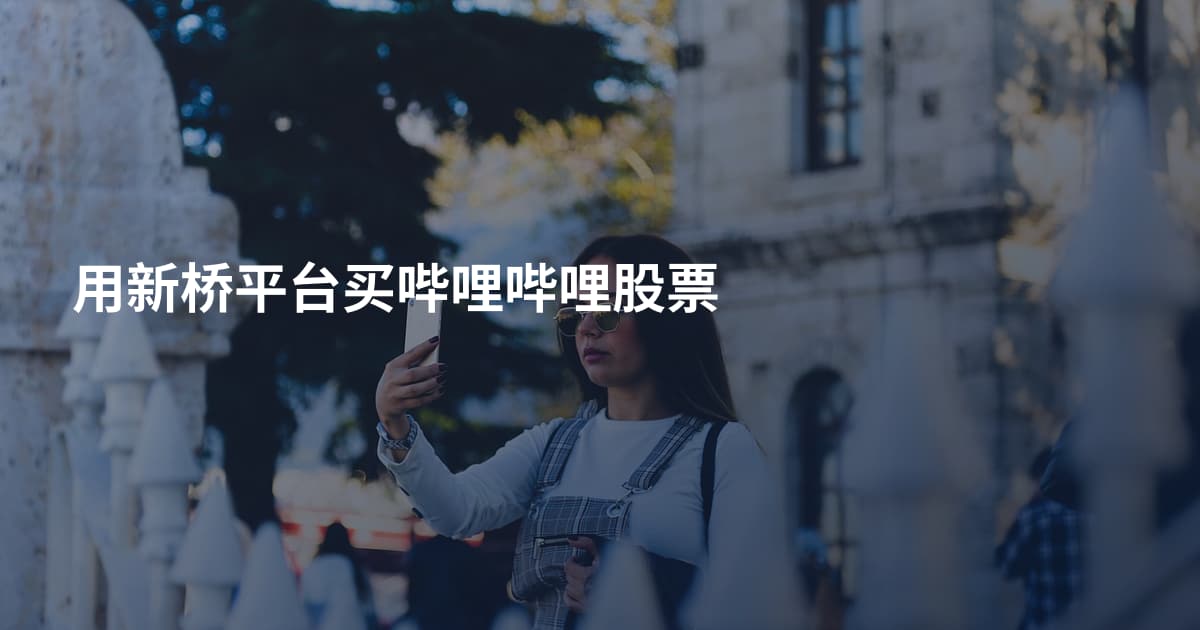 用新桥平台买哔哩哔哩股票