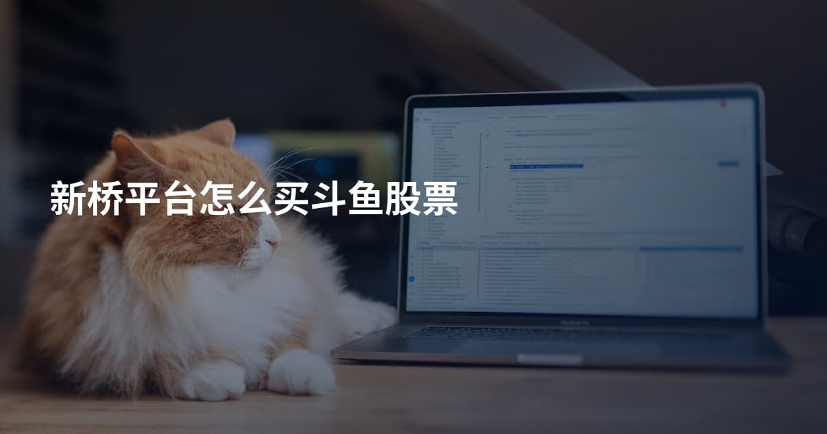 新桥平台怎么买斗鱼股票
