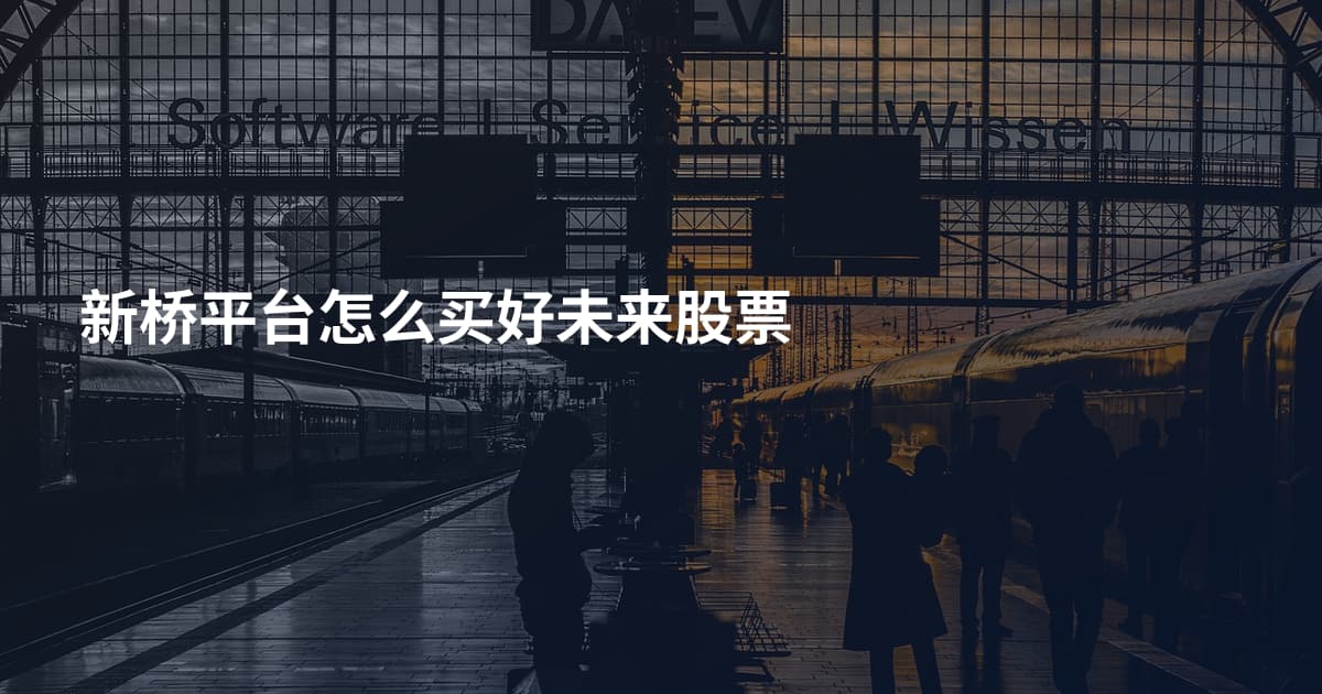 新桥平台怎么买好未来股票