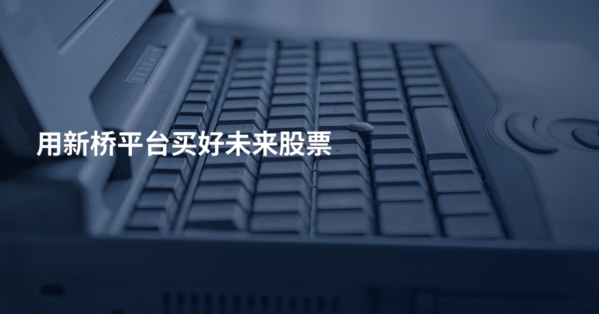 用新桥平台买好未来股票