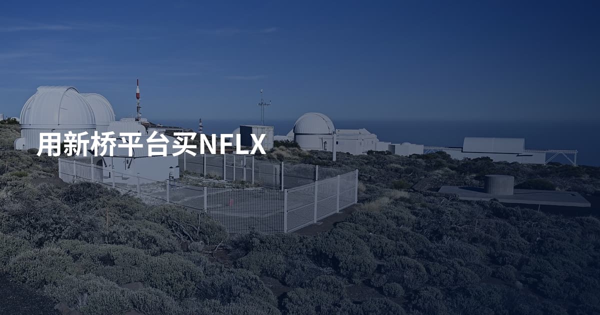 用新桥平台买NFLX