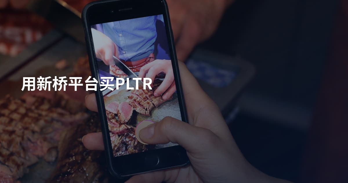 用新桥平台买PLTR