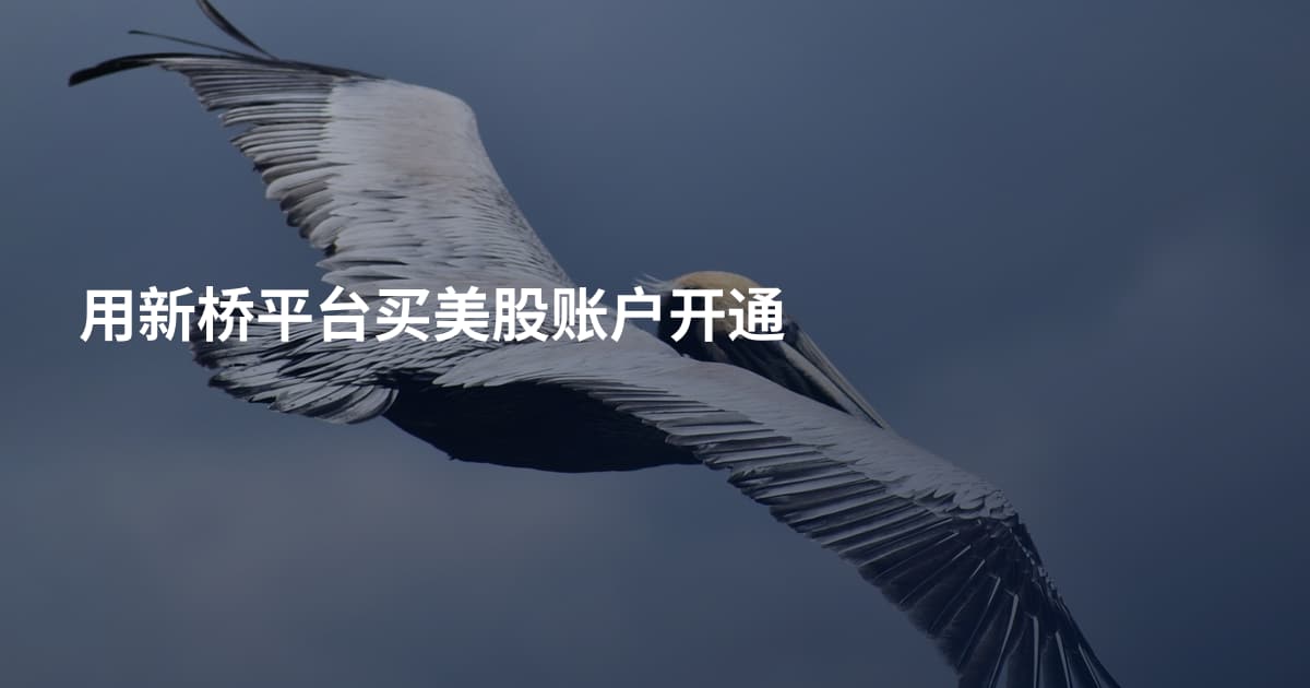 用新桥平台买美股账户开通