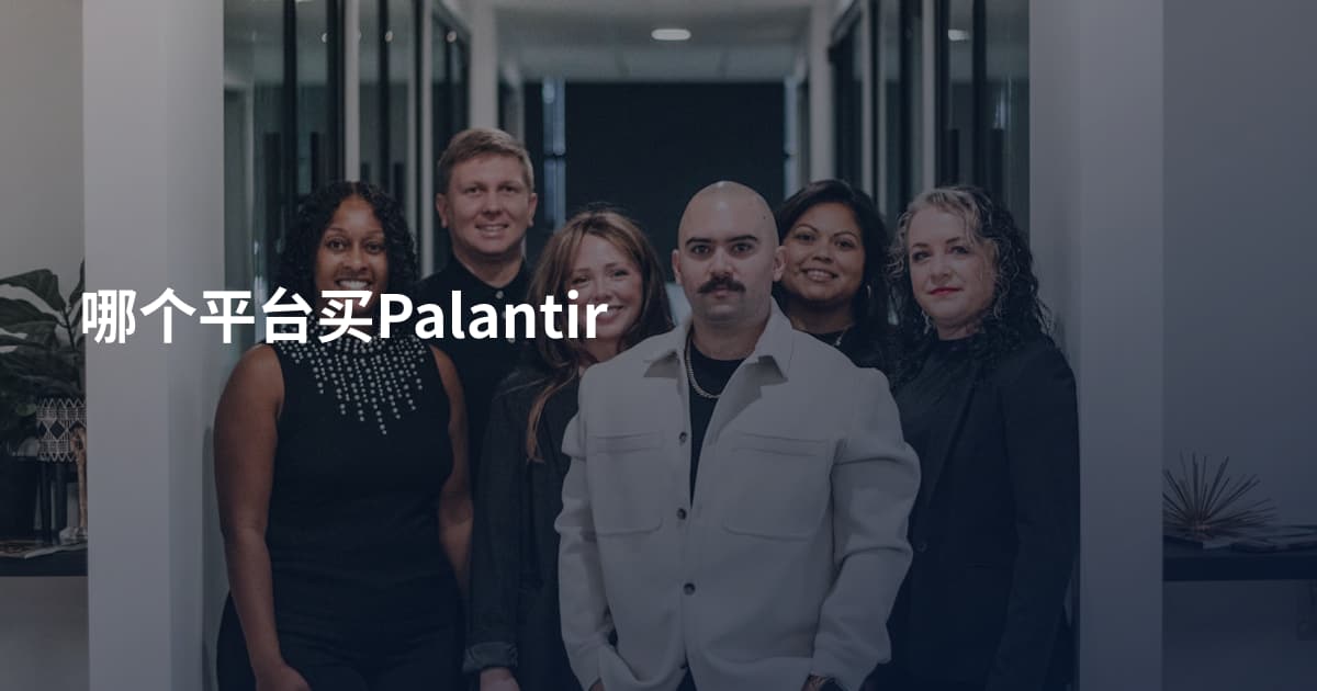 哪个平台买Palantir