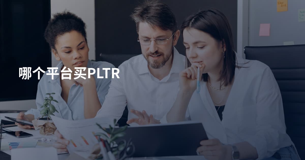 哪个平台买PLTR