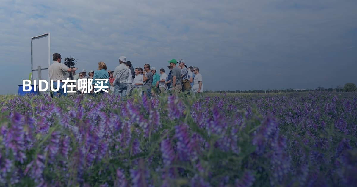 BIDU在哪买