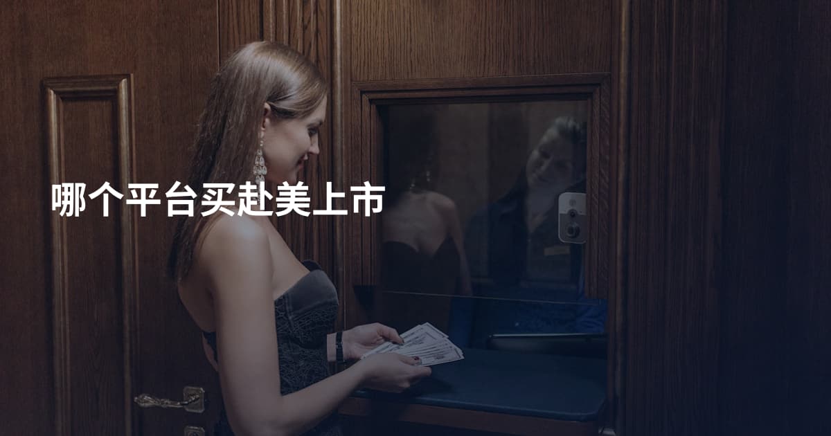 哪个平台买赴美上市