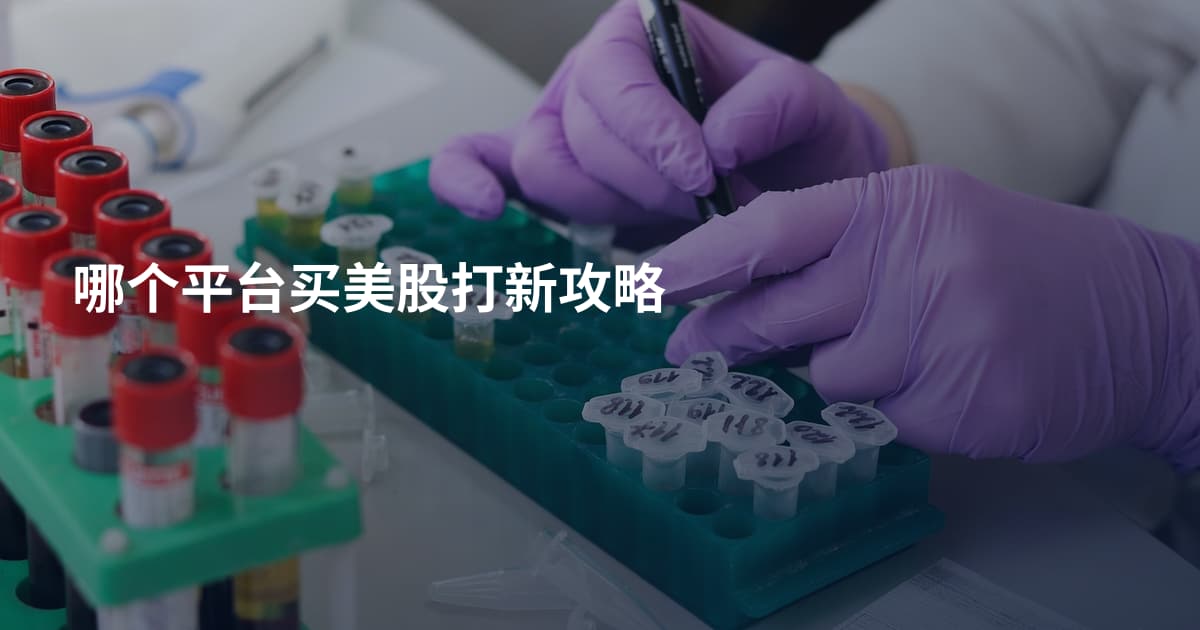 哪个平台买美股打新攻略
