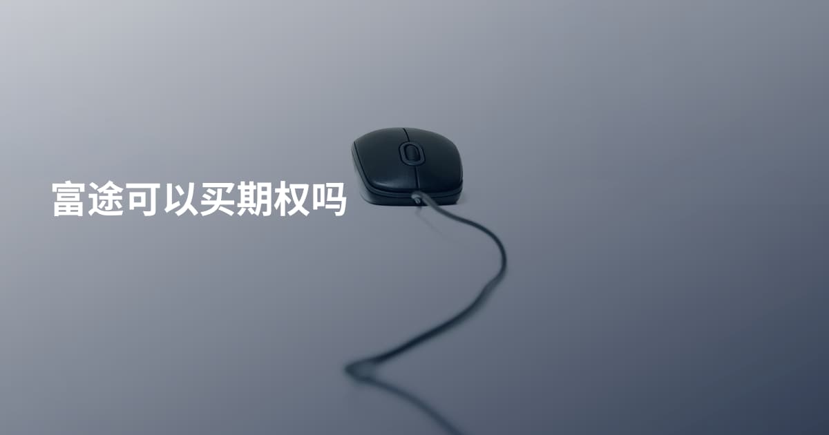 富途可以买期权吗