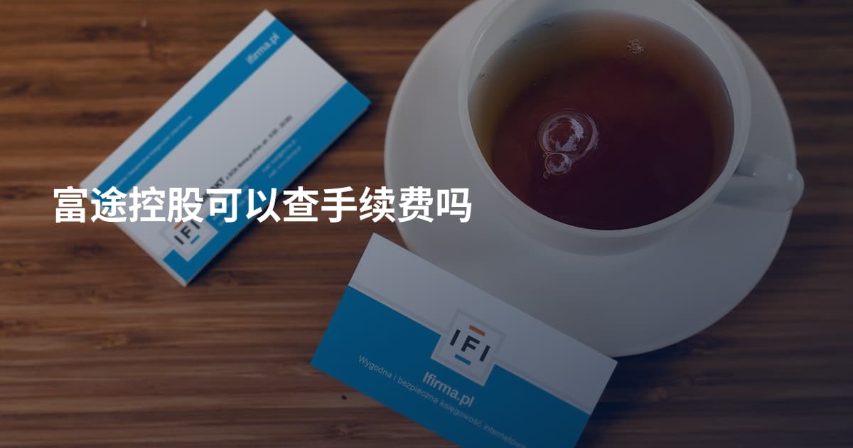 富途控股可以查手续费吗