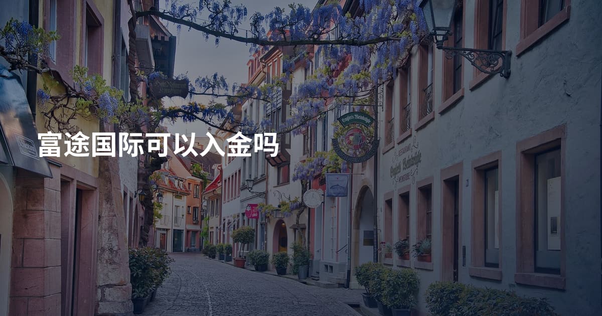 富途国际可以入金吗