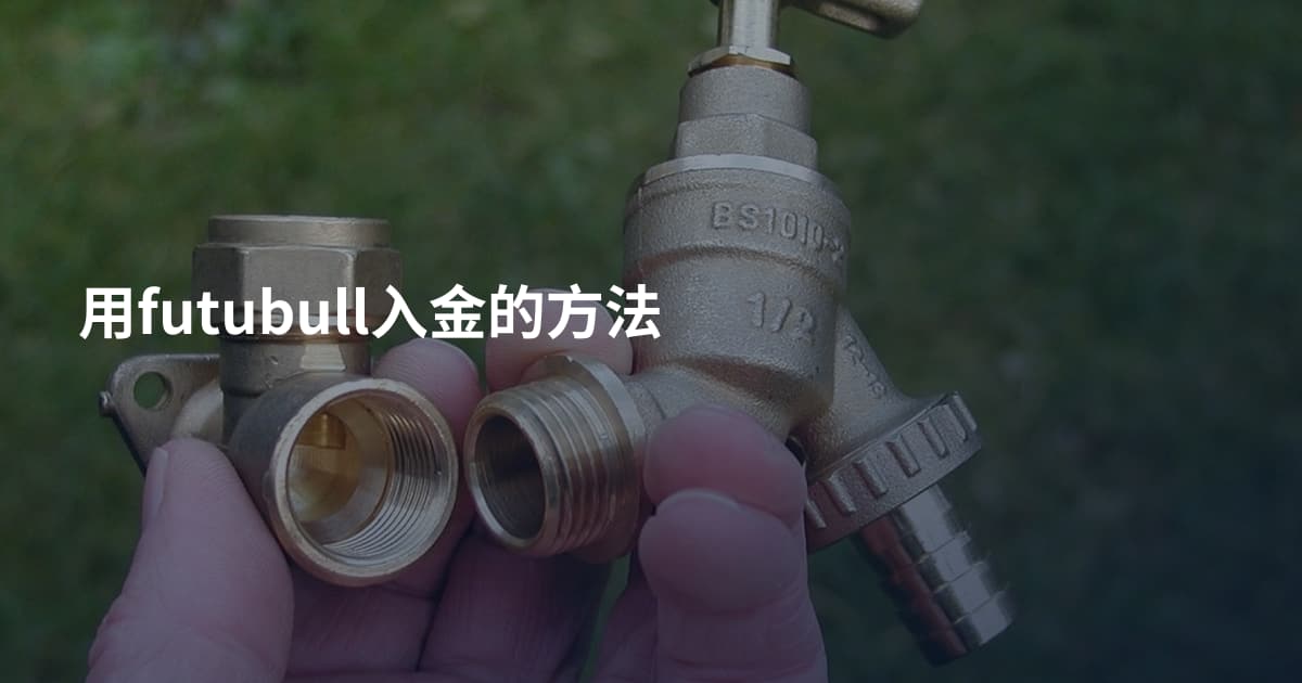 用futubull入金的方法