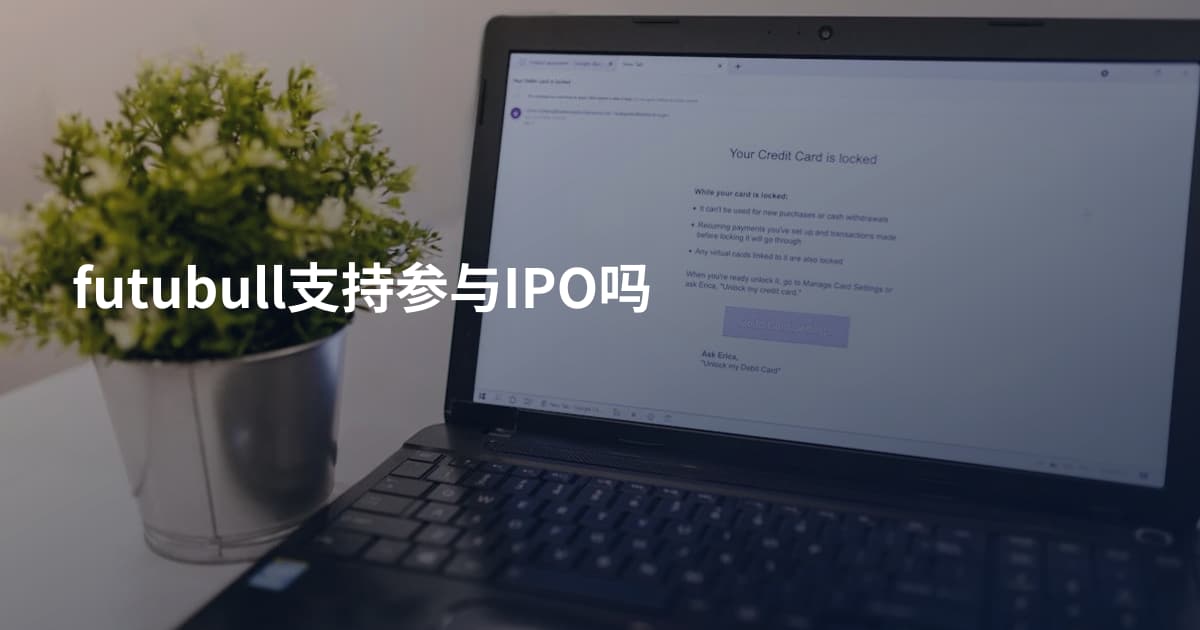 futubull支持参与IPO吗