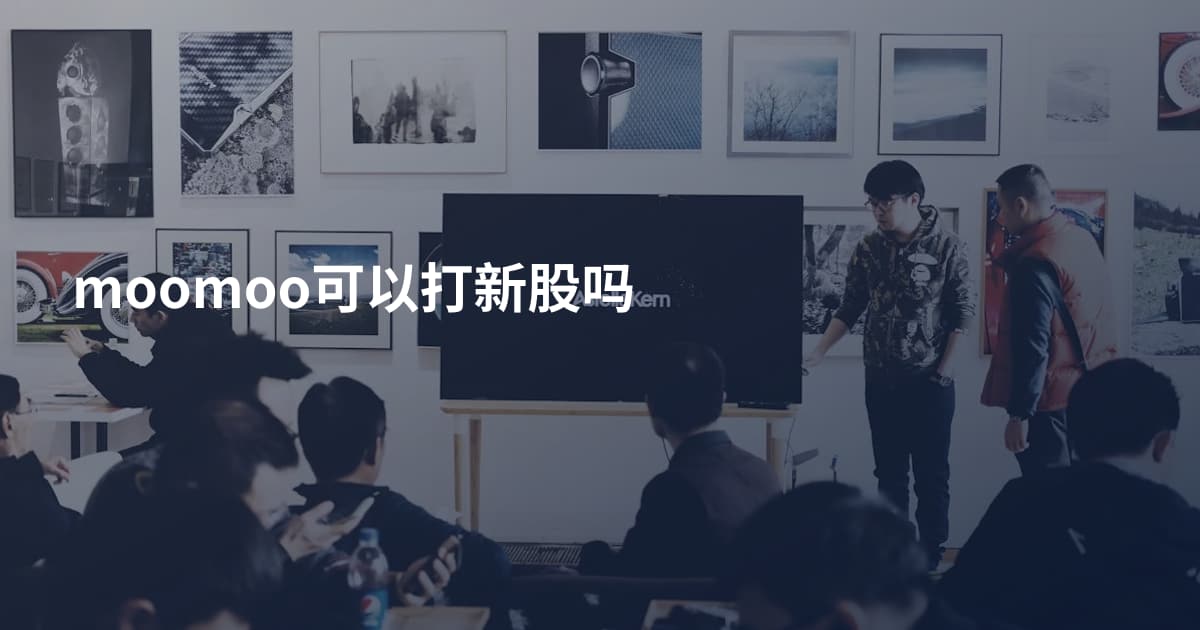 moomoo可以打新股吗