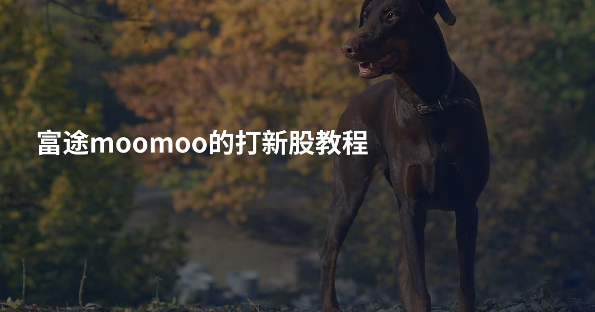 富途moomoo的打新股教程