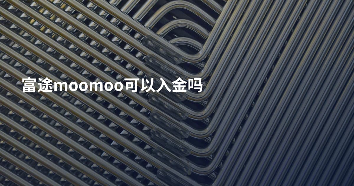 富途moomoo可以入金吗