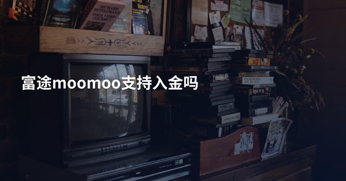富途moomoo支持入金吗