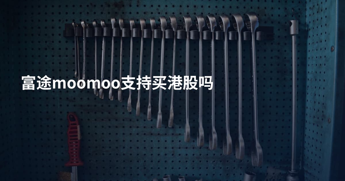 富途moomoo支持买港股吗
