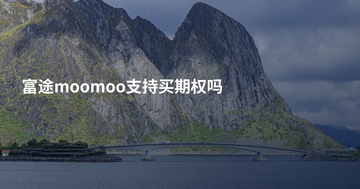富途moomoo支持买期权吗