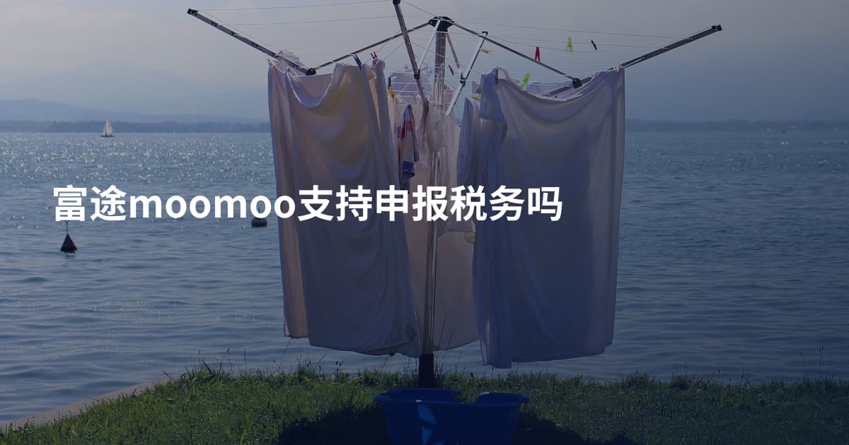 富途moomoo支持申报税务吗